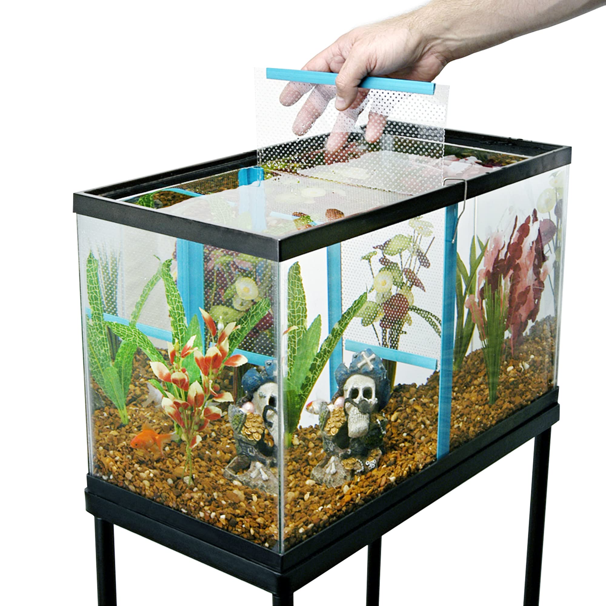 fish tank dividers