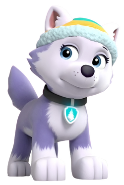 everest from paw patrol