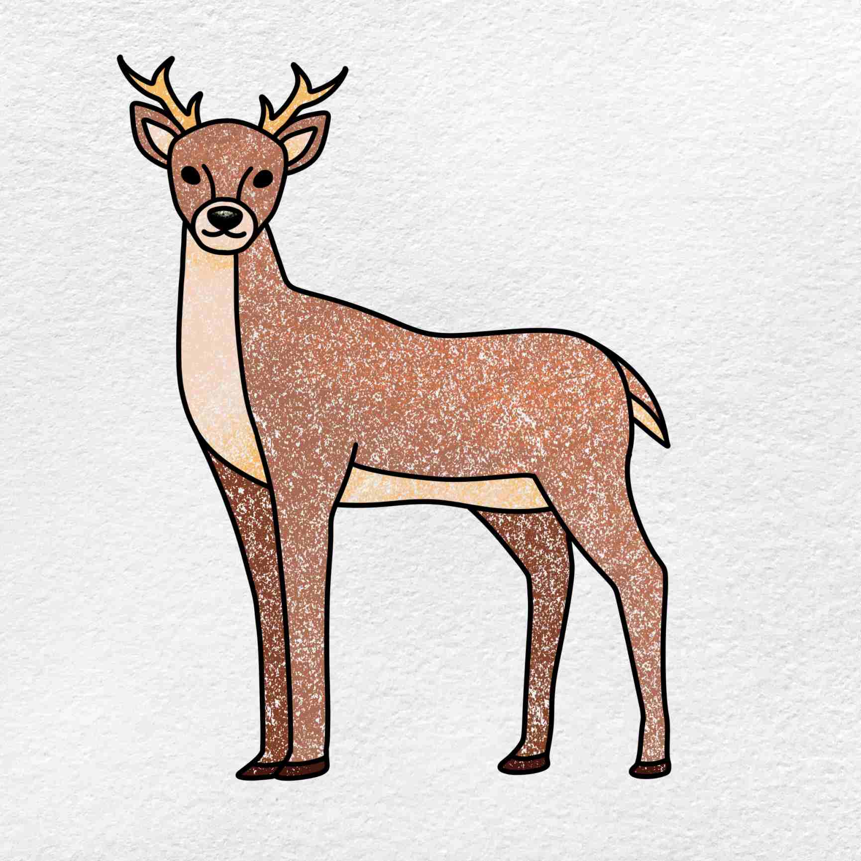 how to draw a deer