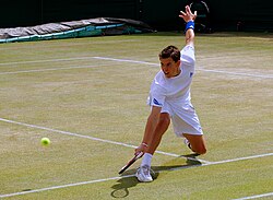 dominic thiem wikipedia