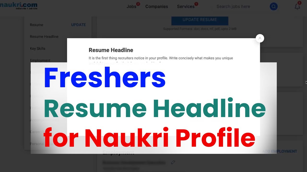 profile summary for naukri for freshers