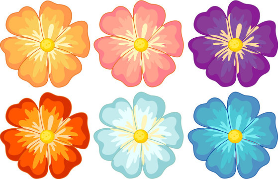 cartoon pictures of flowers