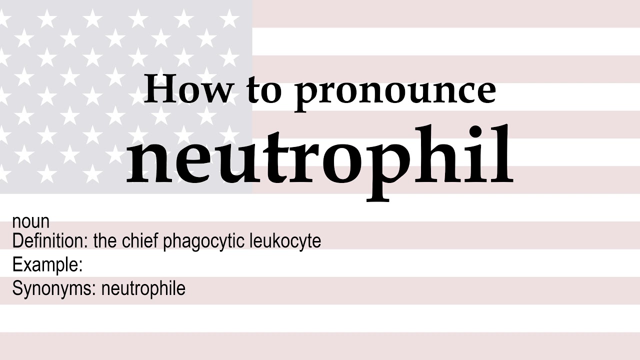 neutrophils pronunciation