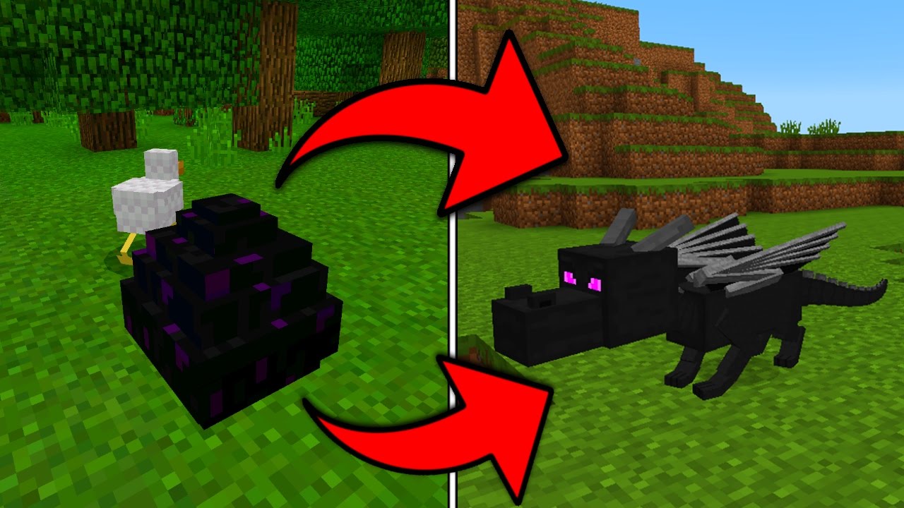 how to hatch the ender dragon egg