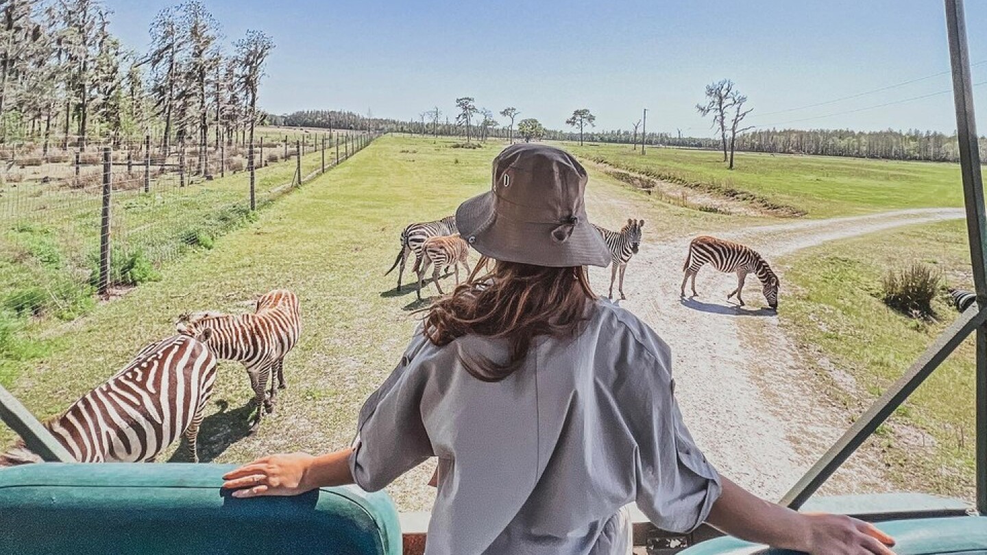 safari wilderness moore road lakeland fl