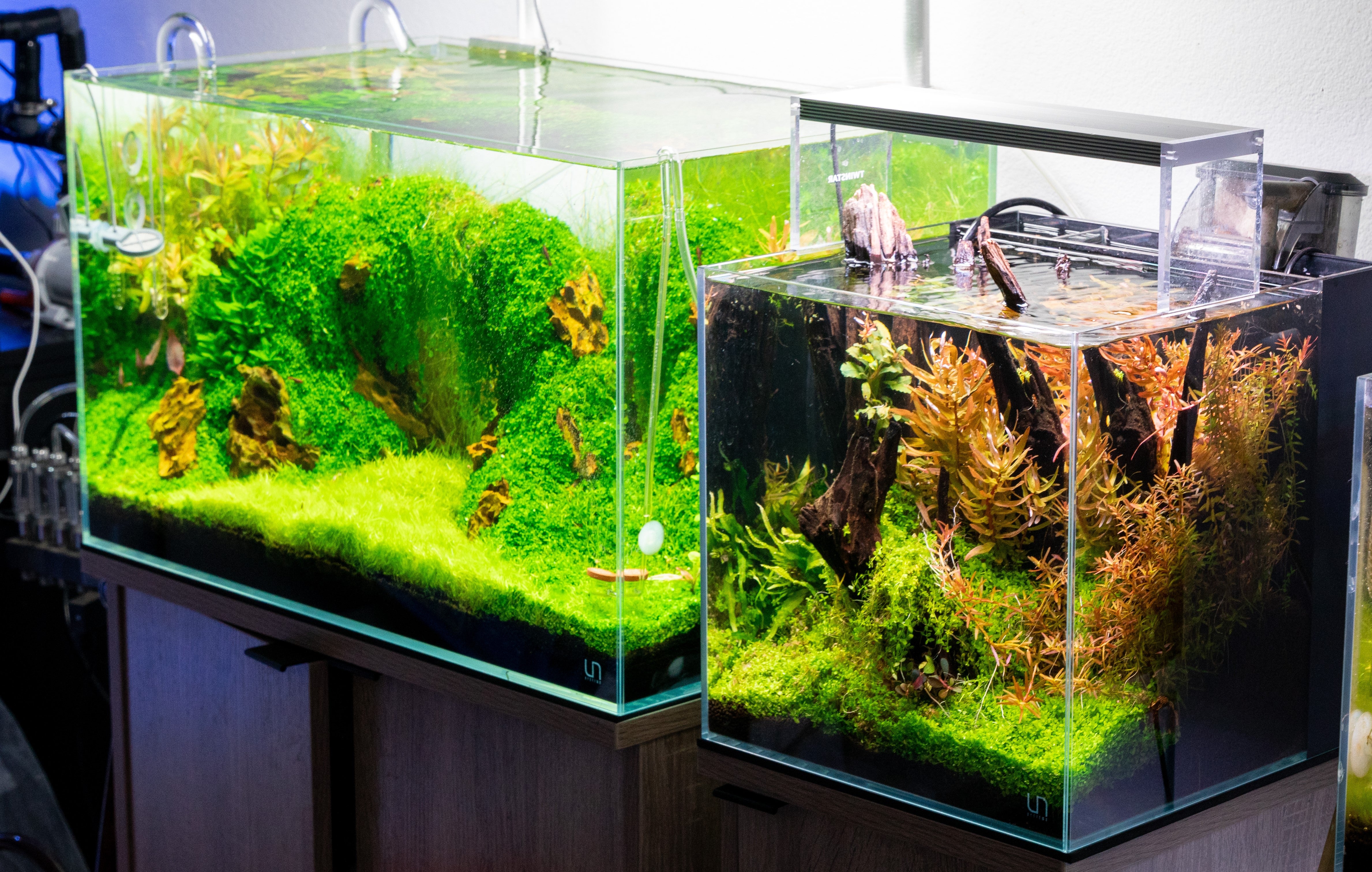 aquascape fish tank