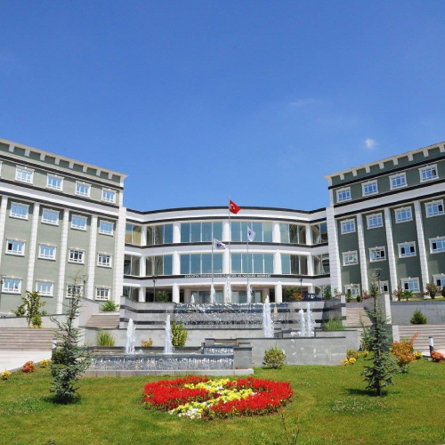 sakarya university