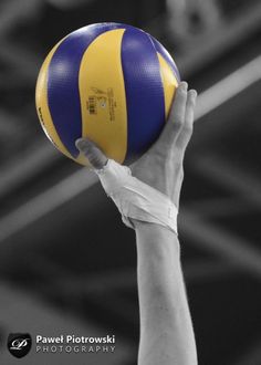 fondos de pantalla de volleyball