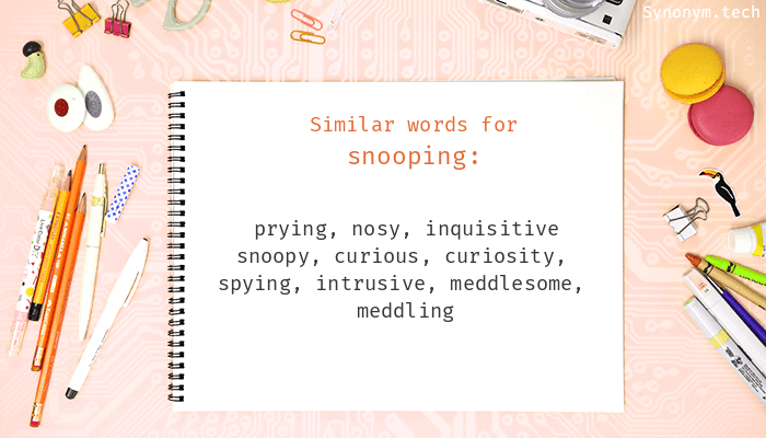 snooping synonym