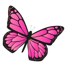 butterfly vector pink