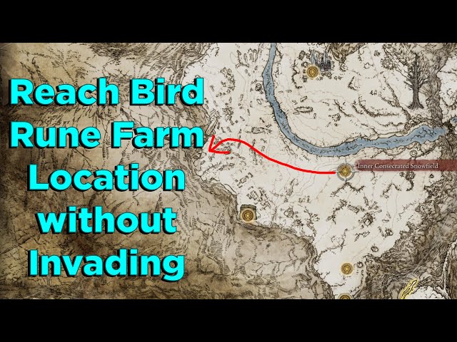 elden ring bird farm