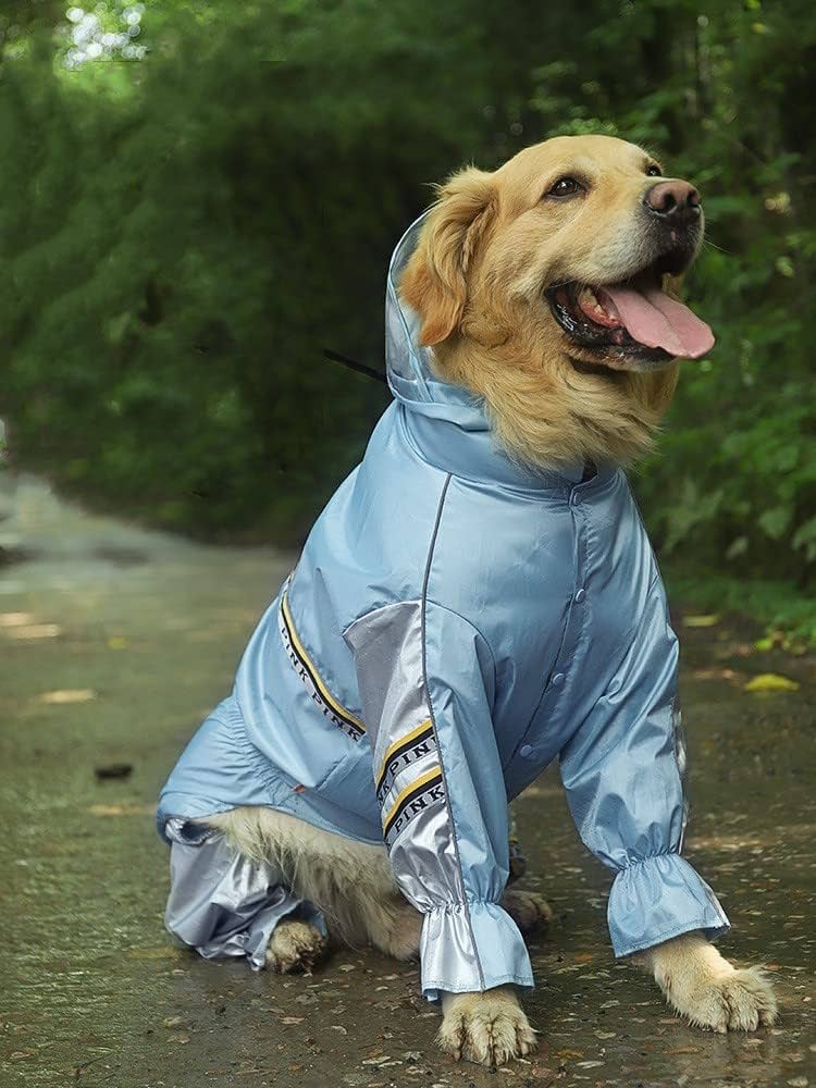 golden retriever raincoat