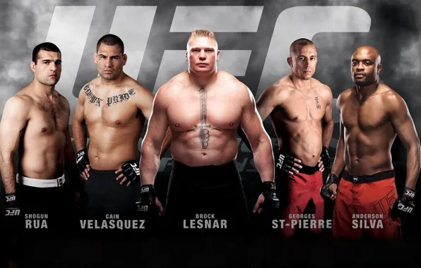 ufc fighter wallpaper