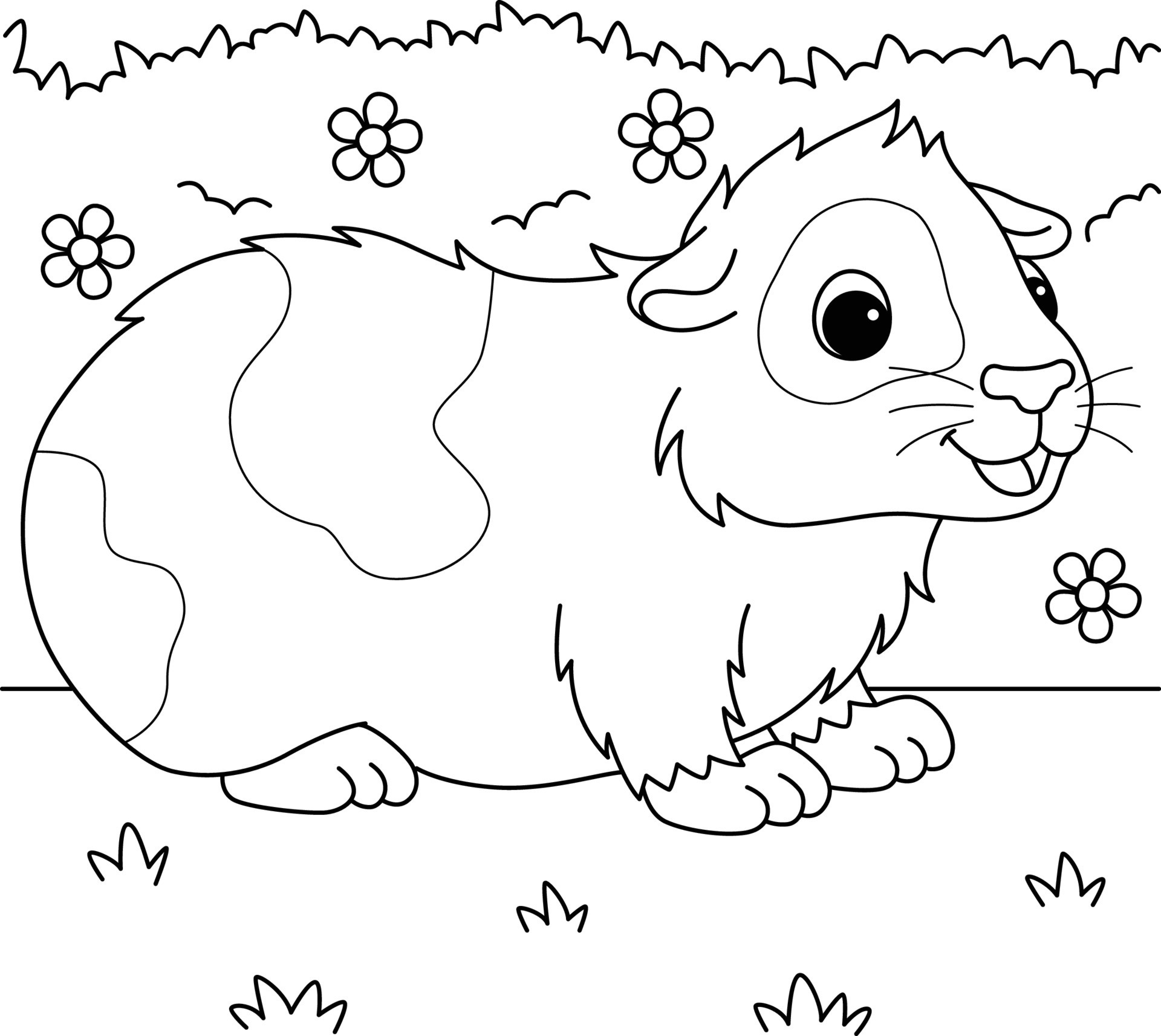 guinea pigs colouring pages