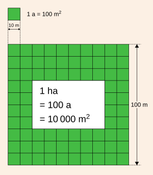 how many square meters in a hectare