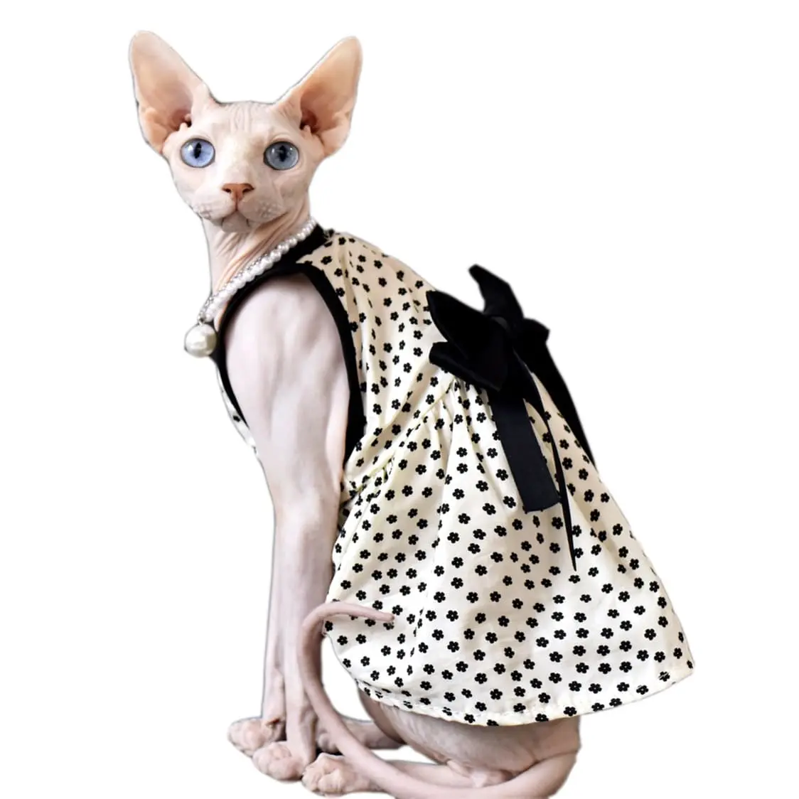 clothes for hairless cats