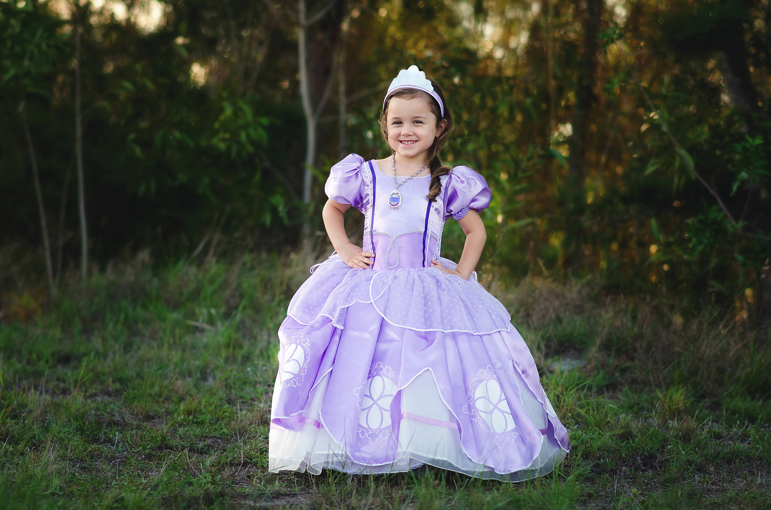 sofia the 1st dress