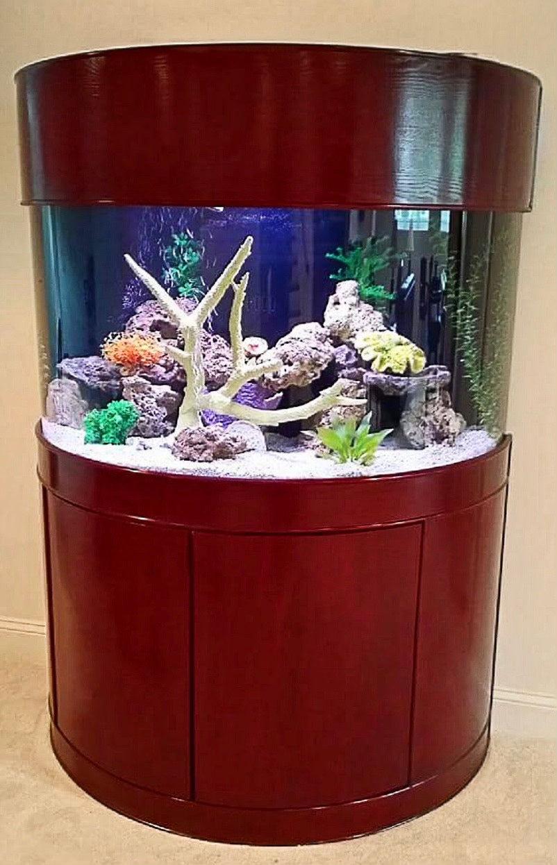 100 gallon fish tank