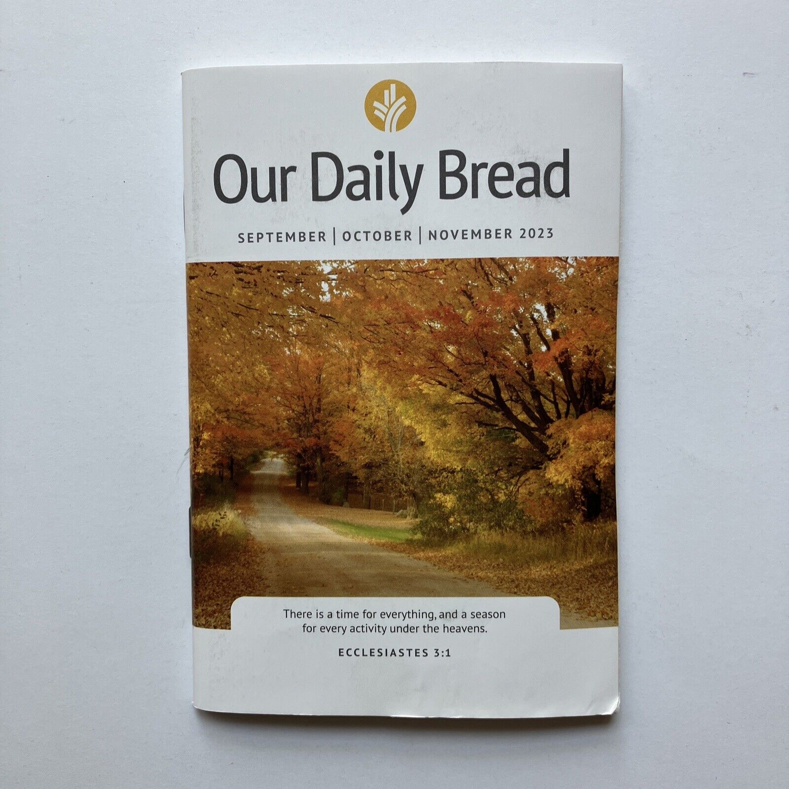 our daily bread october 8 2023
