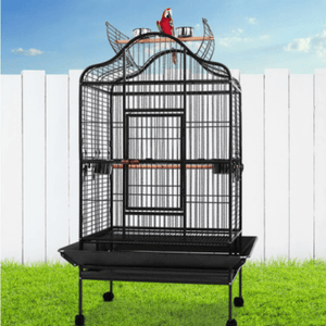 birds cages for sale