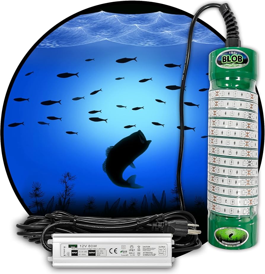 fish light attractor