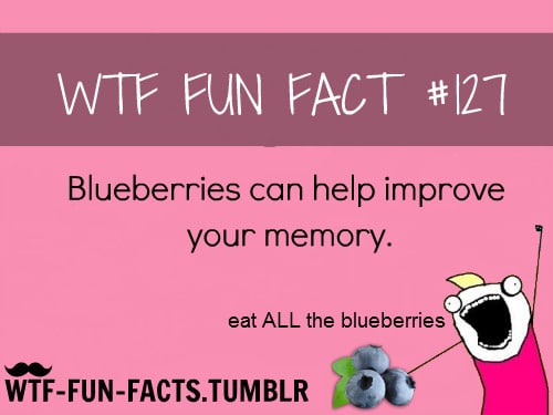 wtf fun facts tumblr