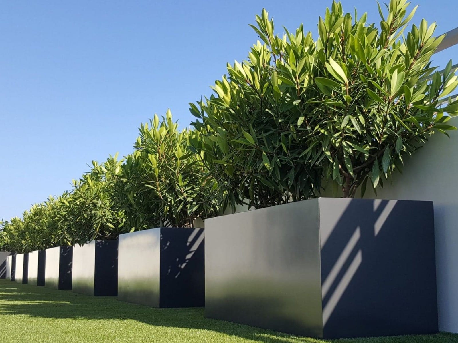 giant planters for trees