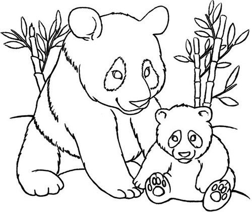 dibujo de un oso panda para colorear