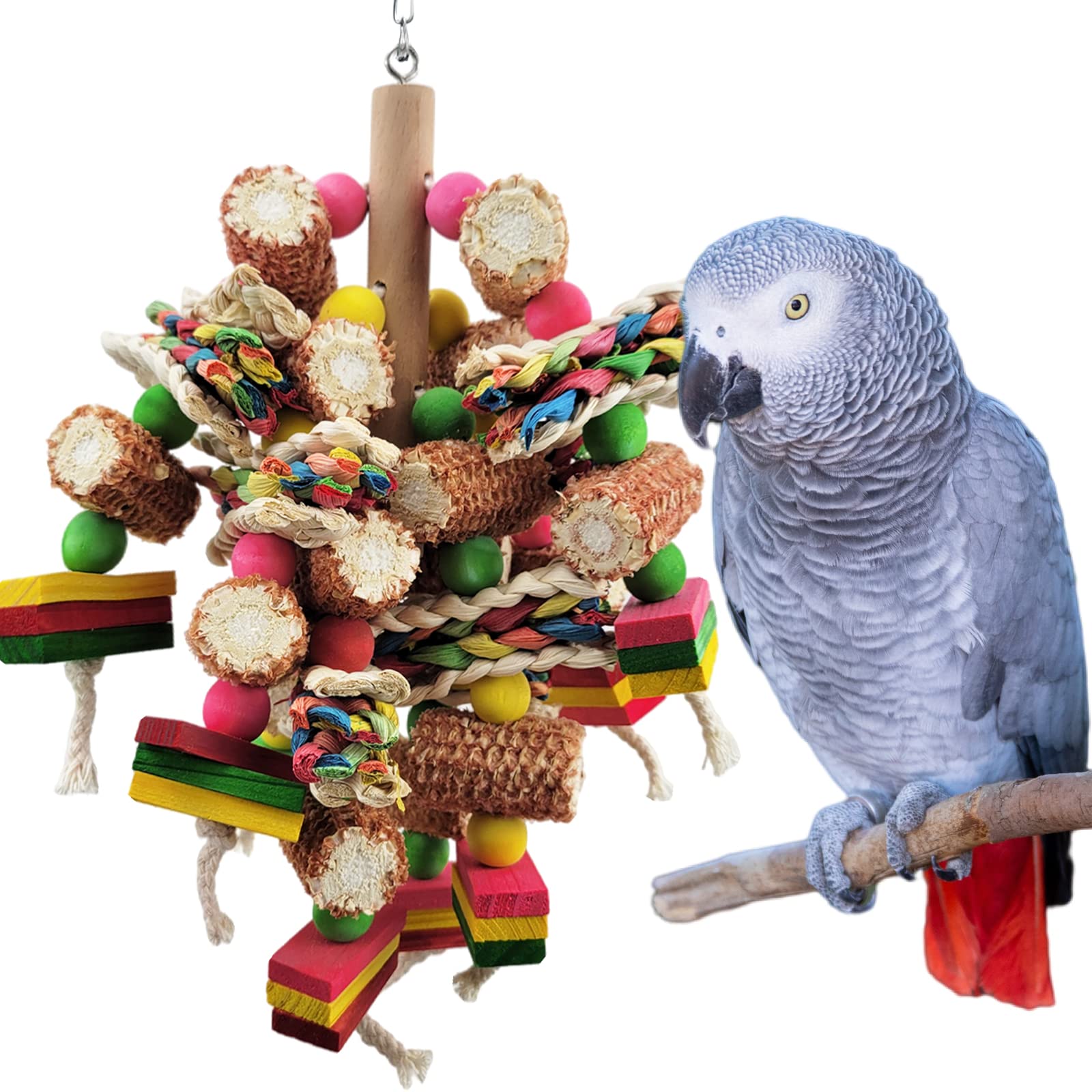 parrot toys amazon