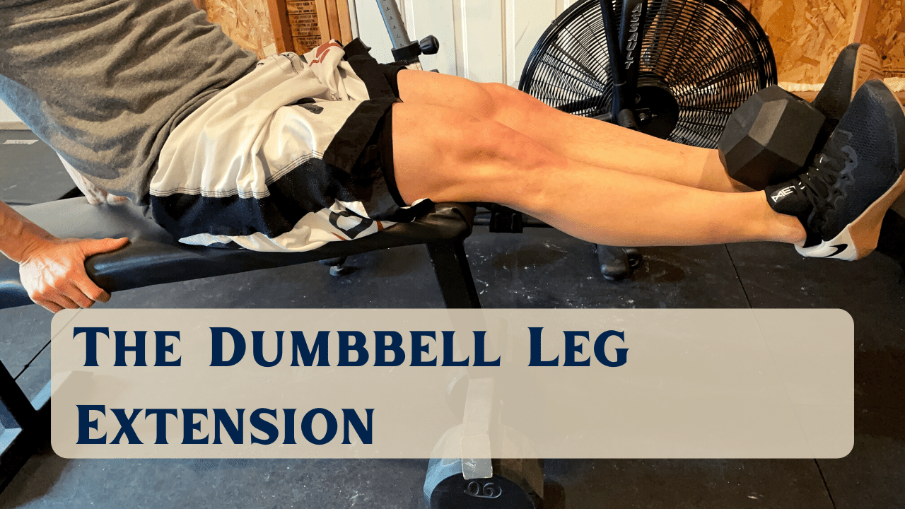 alternative leg extensions