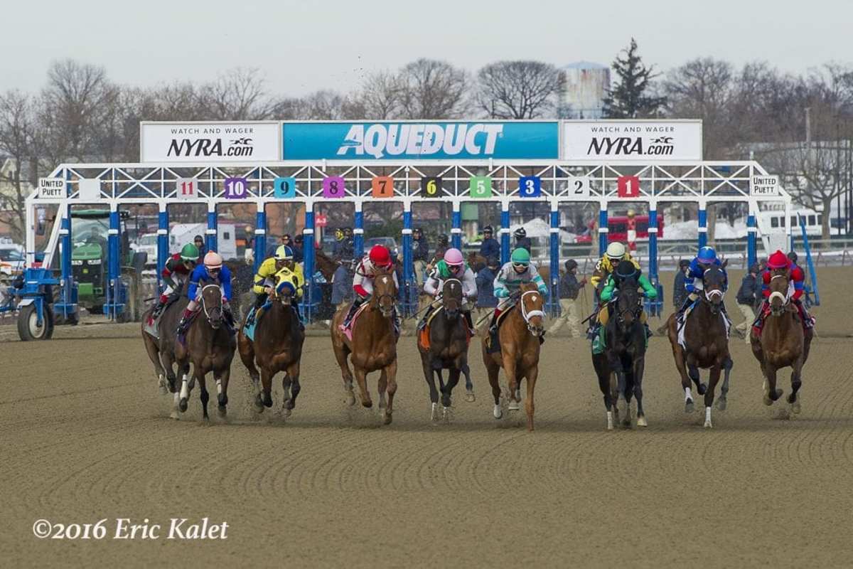 watch aqueduct racing live