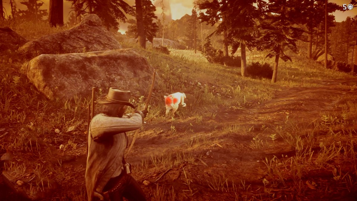 cougars rdr 2