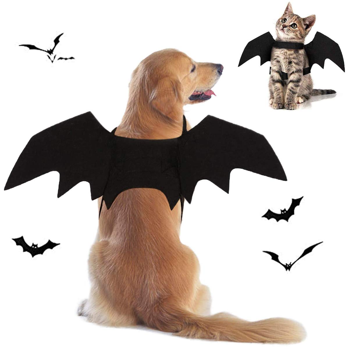 dog bat wings