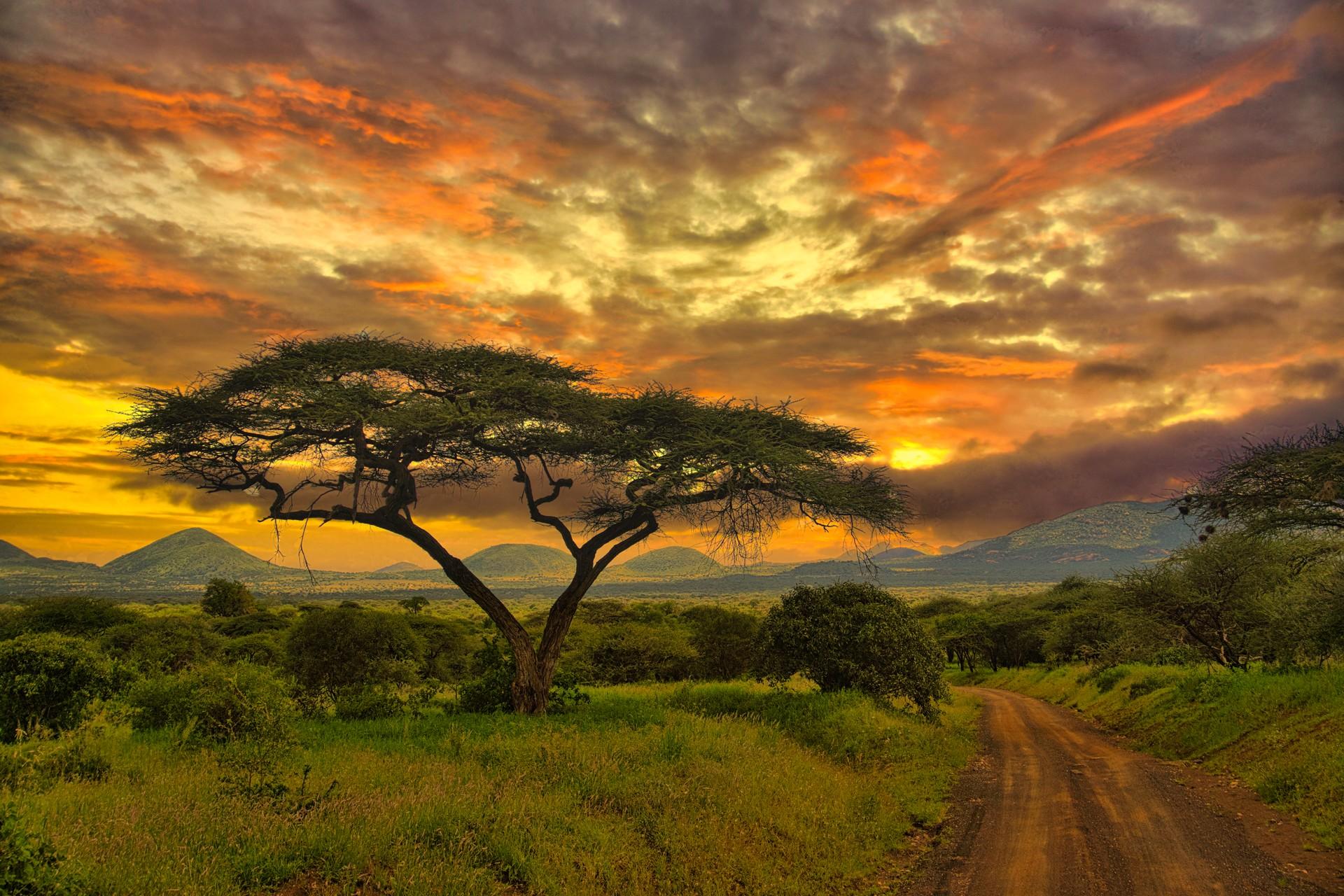 july weather kenya