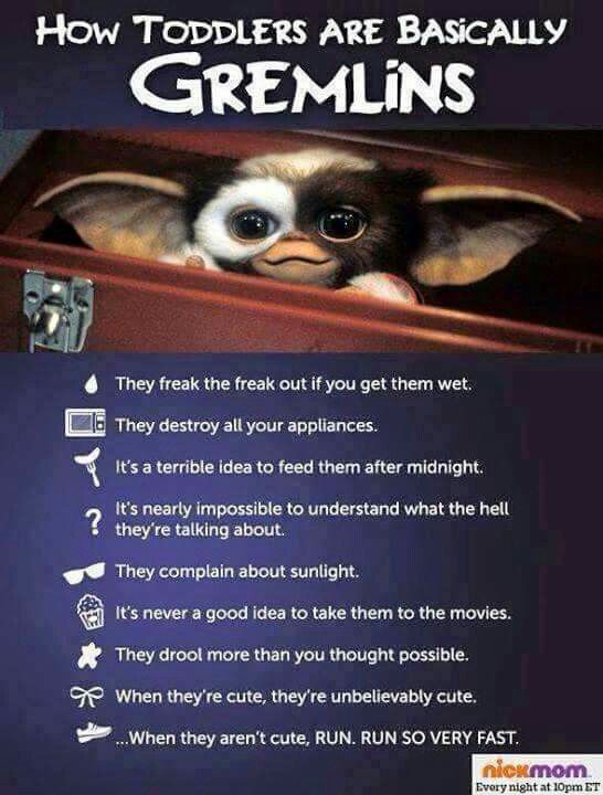 gremlins quotes