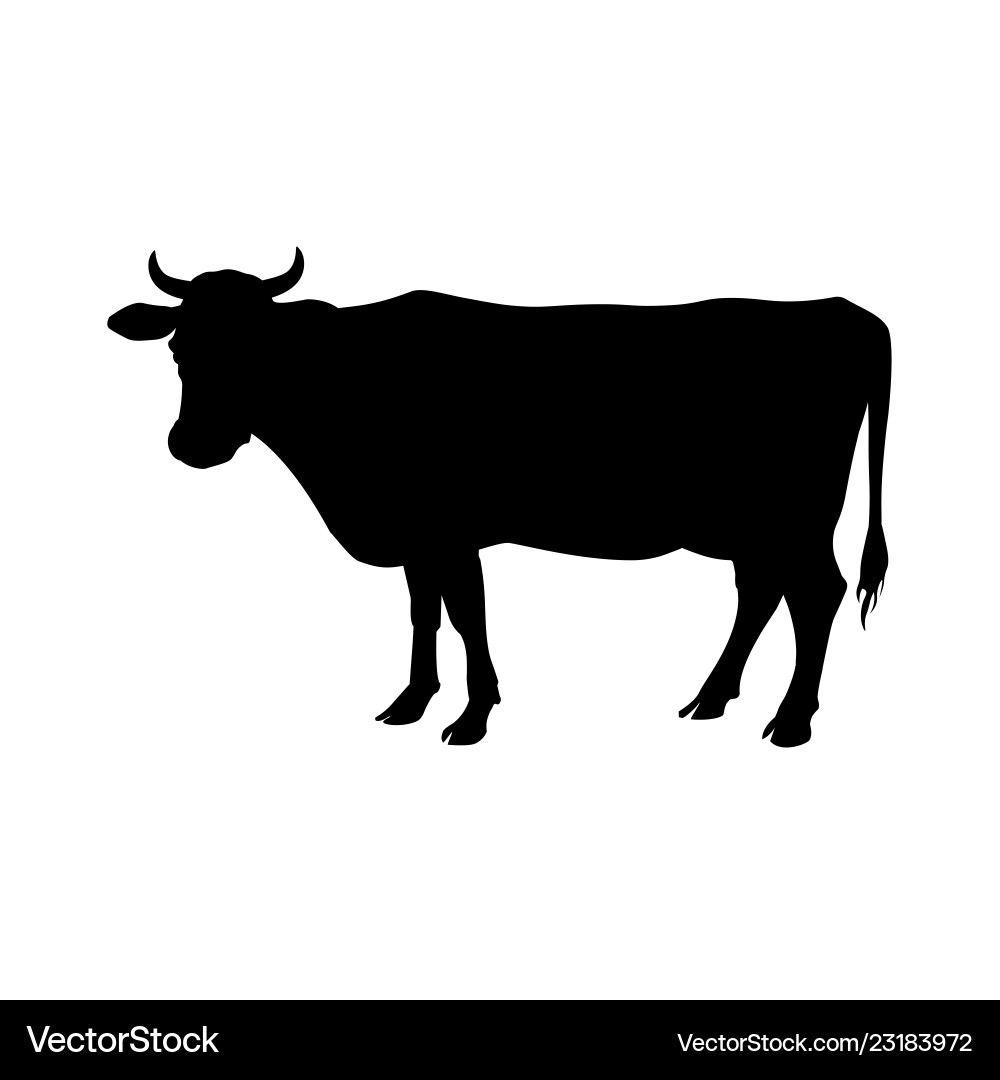 cow silhouette