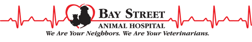 bay street animal hospital rochester ny