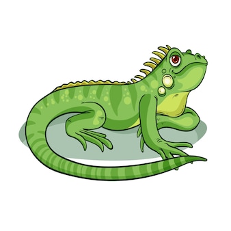 dibujos de iguanas