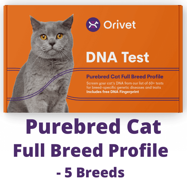 cat breed dna test uk