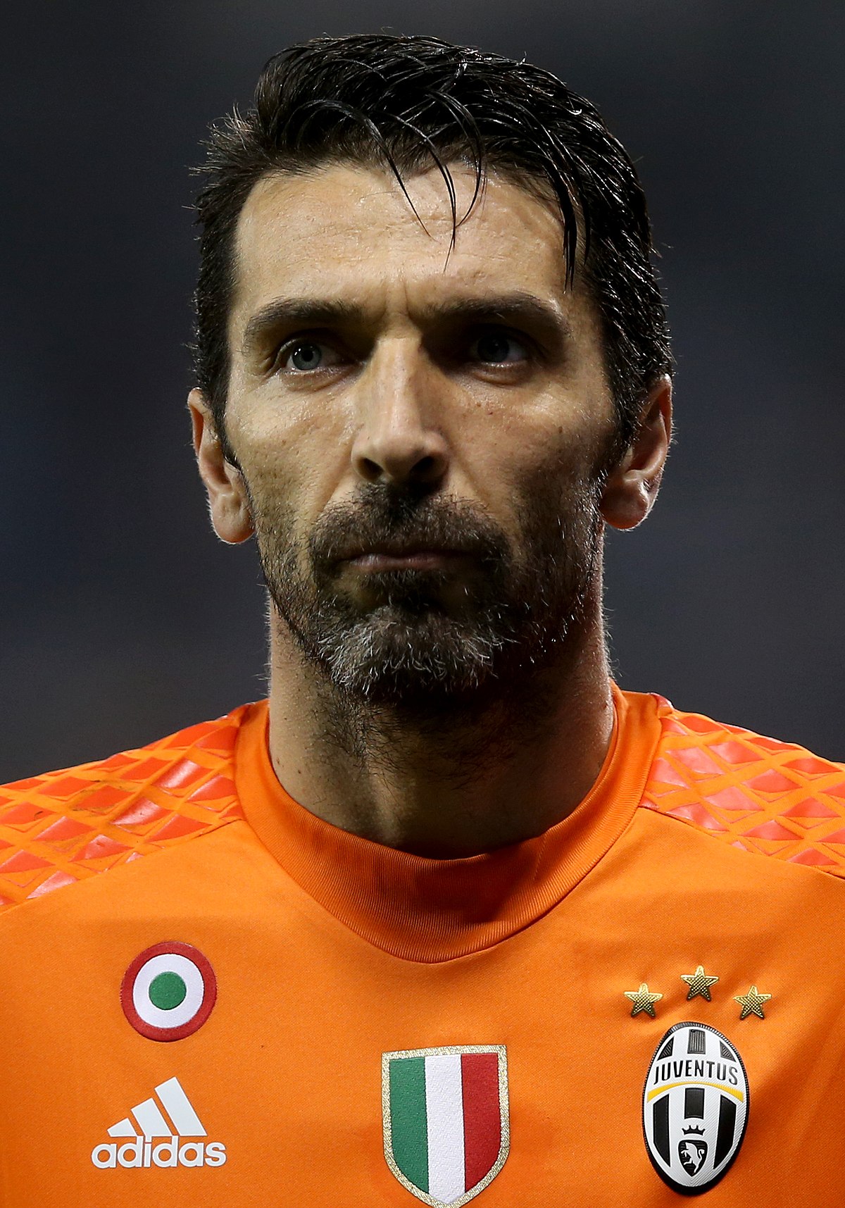 buffon wiki