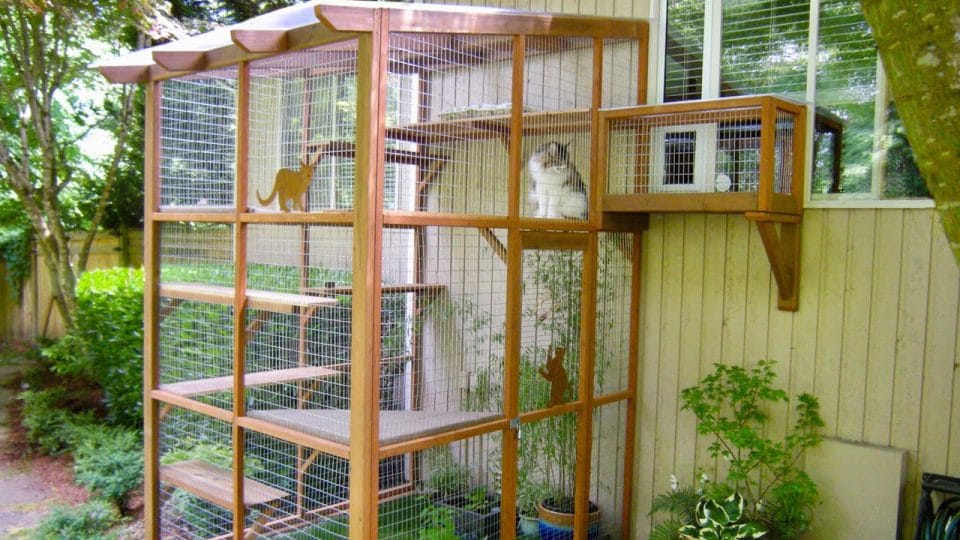 building a cat enclosure