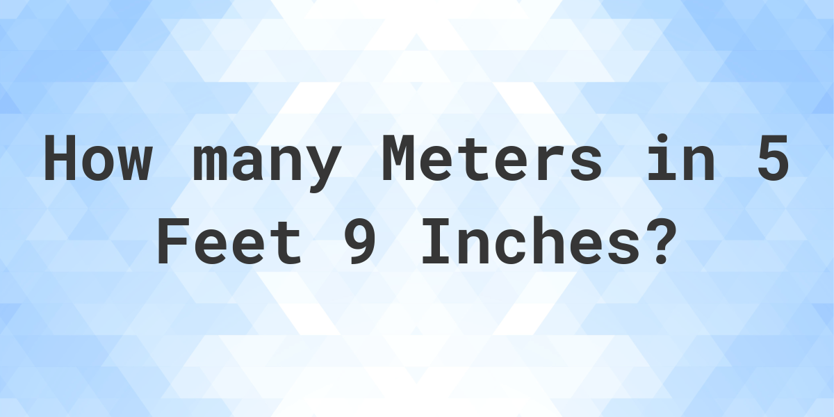 how many meters is 9 ft