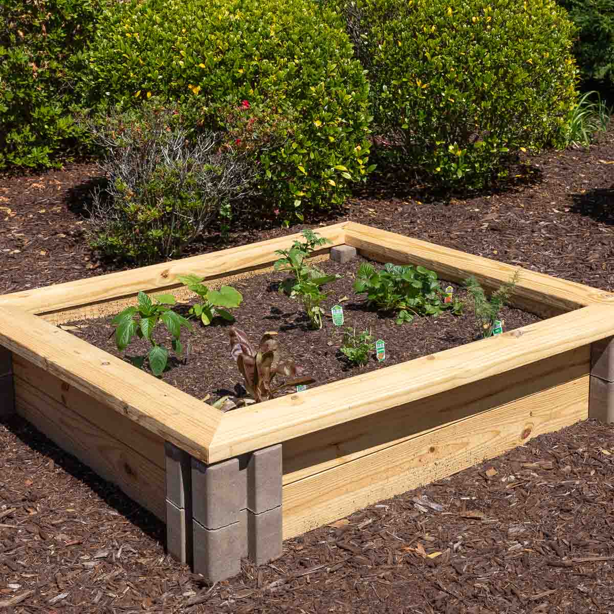 inexpensive raised garden beds