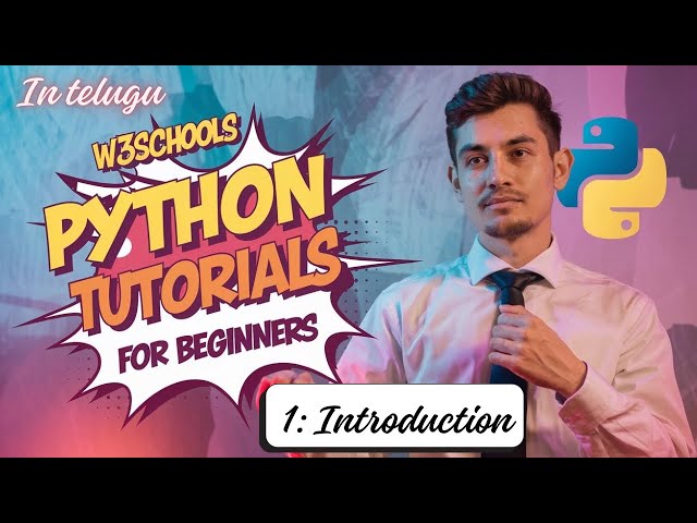 w3schools python