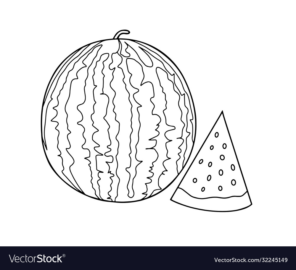 outline images of watermelon