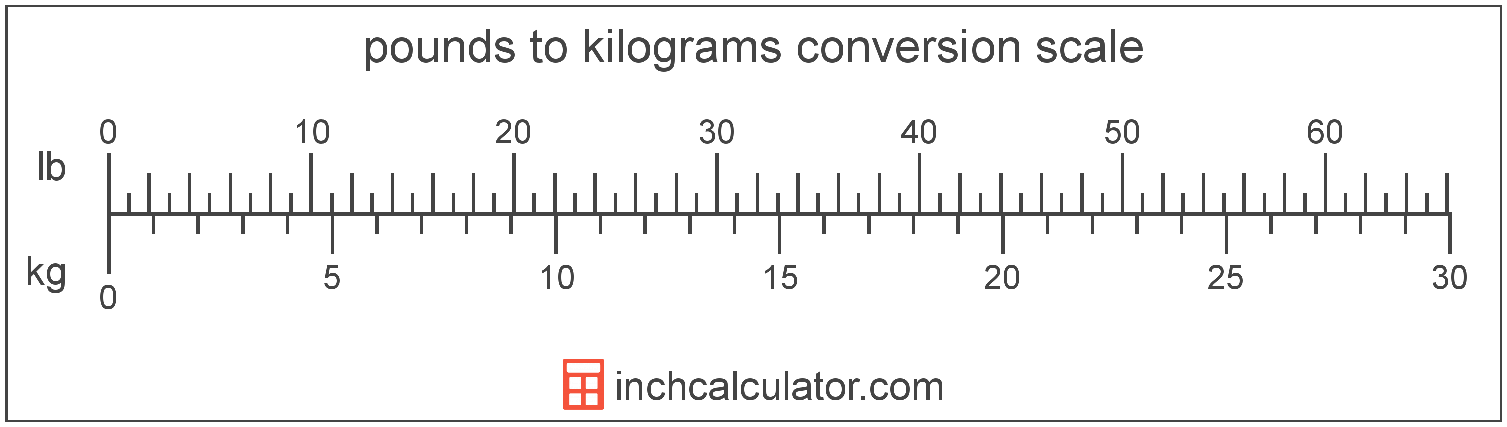 2.6kg to lbs