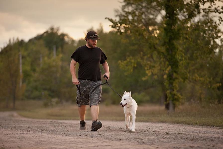 camping outaouais avec chien