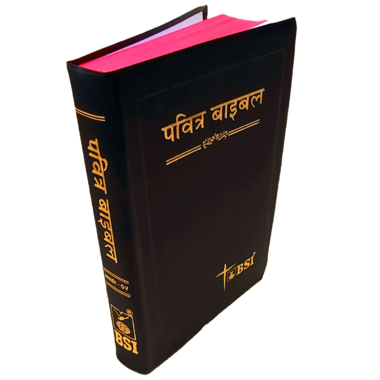 hindi bible online