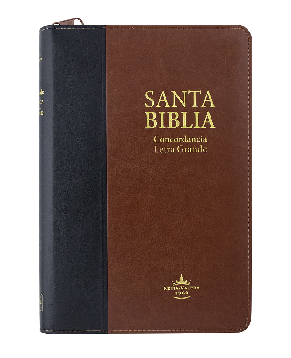 biblia reina valera 1960 version actual