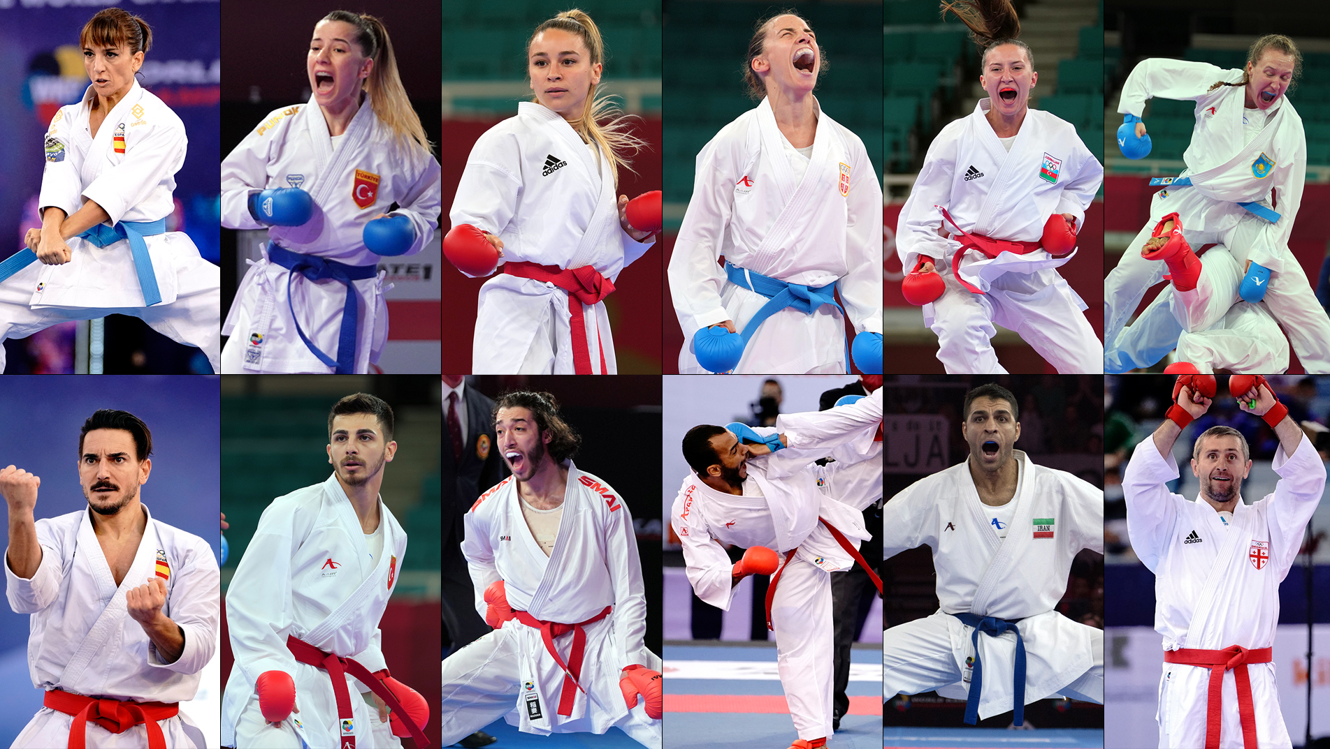 ranking wkf